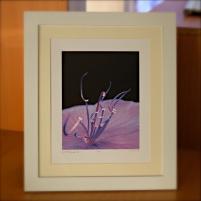 CzrArt: Deep Purple Glory (framed)