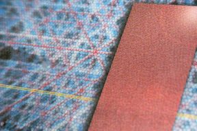 CzrArt - Meronym print detail