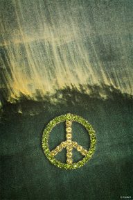 CzrArt - World Wide Peace