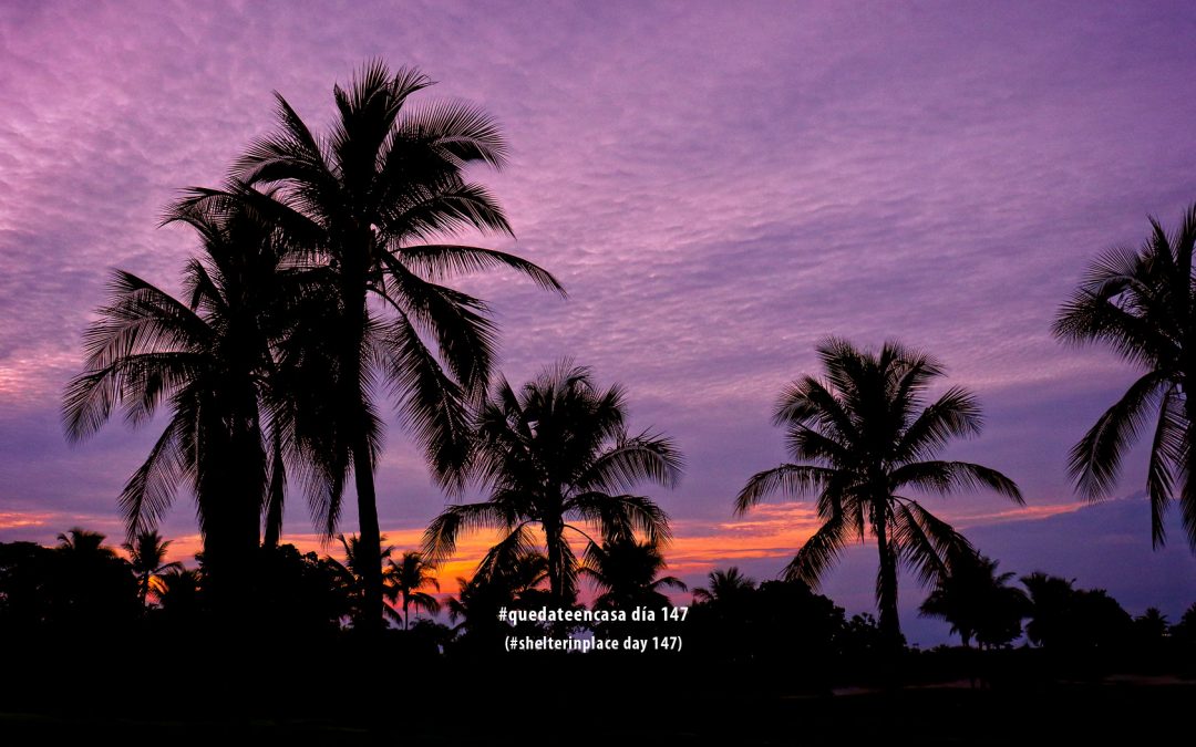 Panama #QuedateEnCasa (#ShelterInPlace) Photo Journal