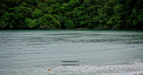 CzrArt - Viajero En Panama