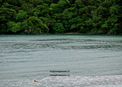 CzrArt - Viajero En Panama