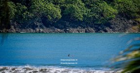 CzrArt - Viajero En Panama