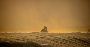 CzrArt - Viajero En Bocas del Toro