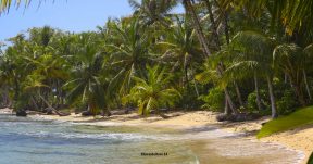 CzrArt - Viajero En Bocas del Toro