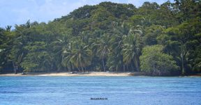 CzrArt - Viajero En Bocas del Toro