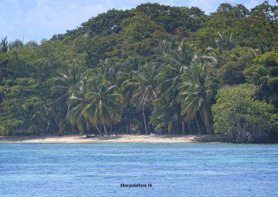 CzrArt - Viajero En Bocas del Toro