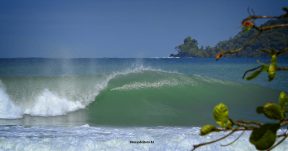 CzrArt - Viajero En Bocas del Toro