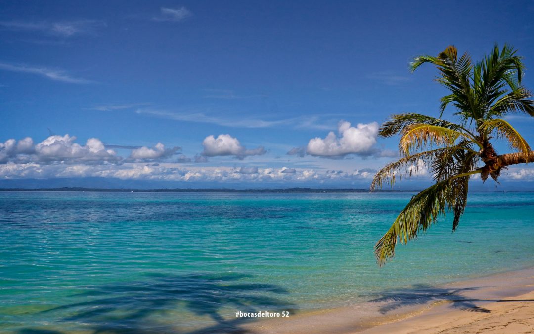 Viajero (Traveller) En Bocas Del Toro Photo Journal