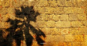 CzrArt - Viajero En Cartagena